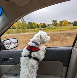 Meet your Posher, Lavonne